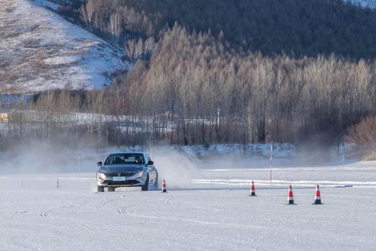 极寒驾控安全挑战 两款法系车型表现卓越-金坦汽车资讯