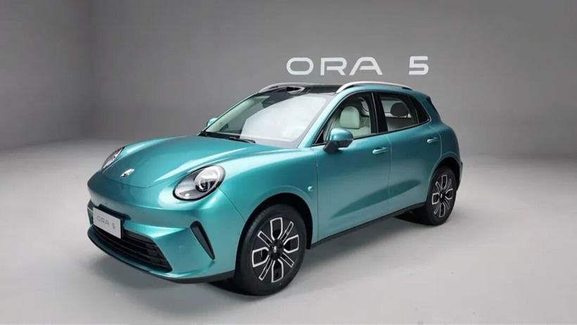 魏建军亲自督战欧拉品牌战略调整能否扭转销量困局-金坦汽车资讯