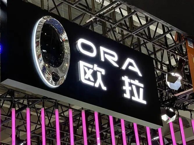 魏建军亲自督战欧拉品牌战略调整能否扭转销量困局-金坦汽车资讯