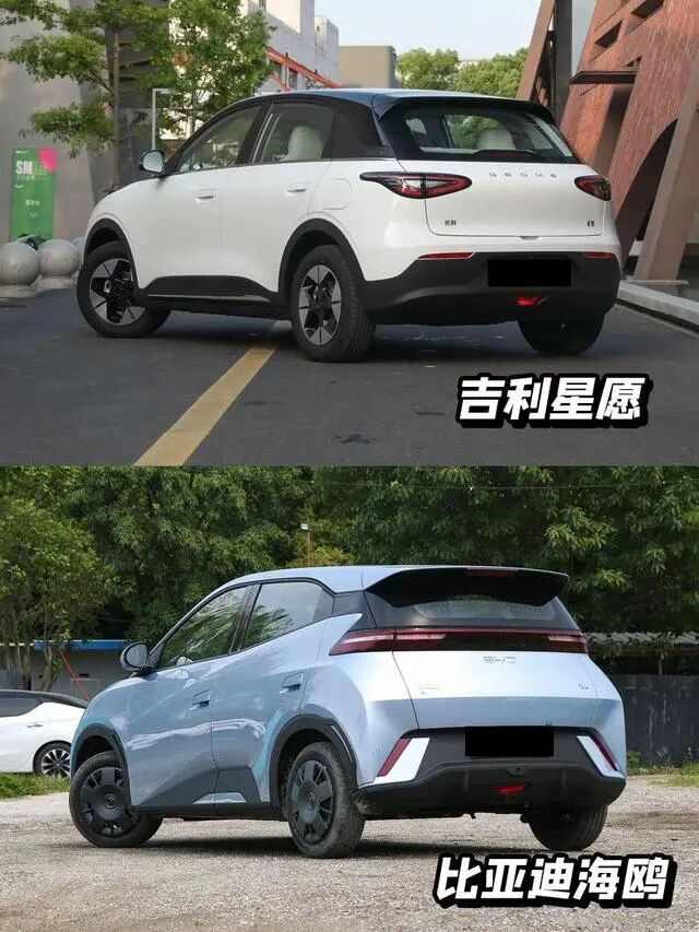 魏建军亲自督战欧拉品牌战略调整能否扭转销量困局-金坦汽车资讯