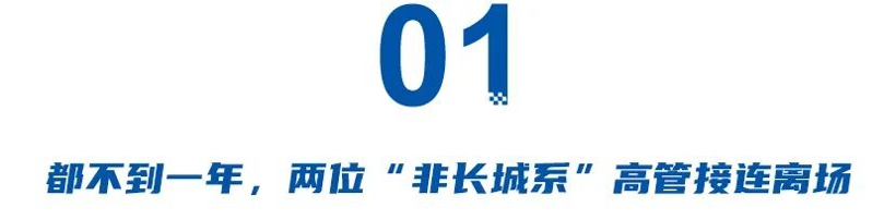 魏牌CEO再次换帅 赵永坡接替冯复之仅任职7个月-云溯流金坦汽车资讯