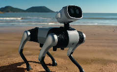 人形机器人产业并购潮起，优必选16.65亿收购锋龙股份控股权-金坦汽车资讯