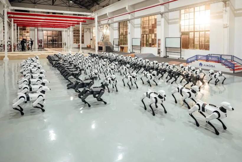 2025年中国智能驾驶行业分野格局重塑，L3级自动驾驶正式量产落地-金坦汽车资讯