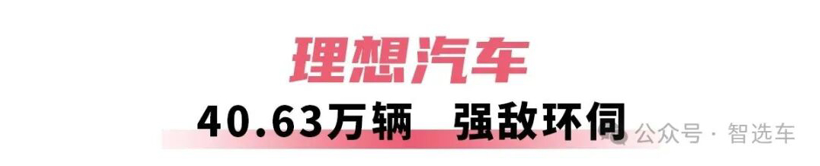 2025车企销量真相：比亚迪吉利领跑，谁在掉队？-金坦汽车资讯