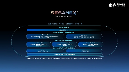 补全端侧拼图，黑芝麻智能间接控股亿智电子