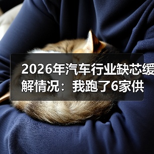 2026汽车行业缺芯现状:结构性短缺与交付波动分析-金坦汽车资讯 2026汽车行业缺芯现状:结构性短缺与交付波动分析-金坦汽车资讯