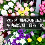 最新汽车自动泊车实测：复杂场景下的精准与稳定性-金坦汽车资讯