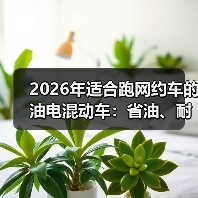 跑网约车如何选省心的混动车?回本速度更快更省油-金坦汽车资讯 跑网约车如何选省心的混动车?回本速度更快更省油-金坦汽车资讯