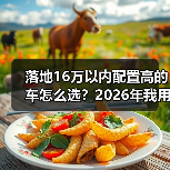 详解16万内高配置汽车选购策略，避开购置税陷阱-金坦汽车资讯