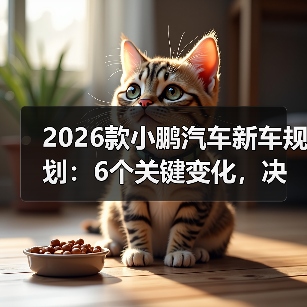 2026小鹏汽车规划逻辑：突破智能电动车技术上限-金坦汽车资讯