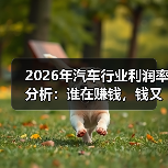 2026年汽车利润率结构解析-金坦汽车资讯 2026年汽车利润率结构解析-金坦汽车资讯