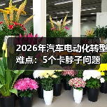 2026年汽车电动化转型难点：5个卡脖子问题与破局路线图