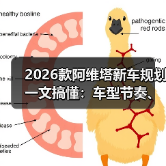 2026阿维塔新车规划:购车决策关键点解析-云溯流金坦汽车资讯 2026阿维塔新车规划:购车决策关键点解析-云溯流金坦汽车资讯