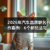2026汽车联名合作新趋势：从破圈到盈利转化-云溯流金坦汽车资讯