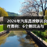 2026汽车联名合作新趋势：从破圈到盈利转化-云溯流金坦汽车资讯
