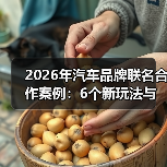2026汽车联名合作新趋势：从破圈到盈利转化-云溯流金坦汽车资讯