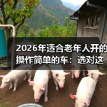 2026年适合老年人开的操作简单的车:选对这5点,开车更省心 2026年适合老年人开的操作简单的车:选对这5点,开车更省心