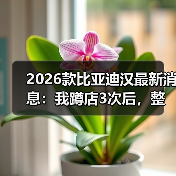 2026款比亚迪汉改款核心：体验升级与实际改进-云溯流金坦汽车资讯