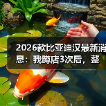 2026款比亚迪汉改款核心：体验升级与实际改进-云溯流金坦汽车资讯