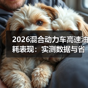 混动高速油耗为何总反常?这些细节决定省油与否-云溯流金坦汽车资讯 混动高速油耗为何总反常?这些细节决定省油与否-云溯流金坦汽车资讯