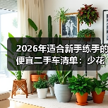 2026年适合新手练手的便宜二手车清单:少花冤枉钱,多练真本事 2026年适合新手练手的便宜二手车清单:少花冤枉钱,多练真本事