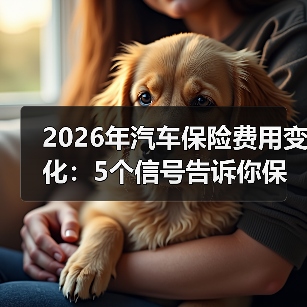 2026年汽车保险费用变化：5个信号告诉你保费怎么走、怎么省