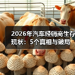 2026年汽车经销商生存现状：靠拼价还是重塑盈利模型？-金坦汽车资讯