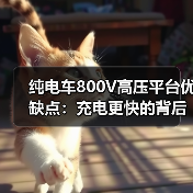 纯电车800V高压平台优缺点：快充真香但条件需匹配-金坦汽车资讯