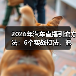 2026年汽车直播引流全攻略：如何把围观变成留资？-金坦汽车资讯