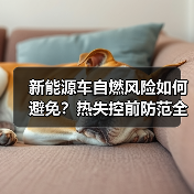 新能源车自燃风险如何避免?热失控前防范全攻略 新能源车自燃风险如何避免?热失控前防范全攻略