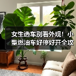 女生选车别看外观!小型燃油车好停好开全攻略 女生选车别看外观!小型燃油车好停好开全攻略