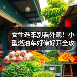 女生选车别看外观!小型燃油车好停好开全攻略 女生选车别看外观!小型燃油车好停好开全攻略
