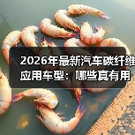 碳纤维到底值不值？深度解析最新车型的应用与选购误区-金坦汽车资讯