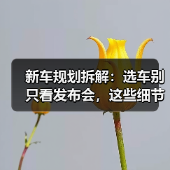 2026车企新车规划到底值不值得等?这些暗线决定你的选择-金坦汽车资讯 2026车企新车规划到底值不值得等?这些暗线决定你的选择-金坦汽车资讯