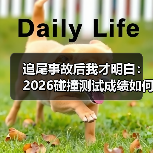 别只看五星!2026年汽车碰撞测试成绩怎么解读?-金坦汽车资讯 别只看五星!2026年汽车碰撞测试成绩怎么解读?-金坦汽车资讯