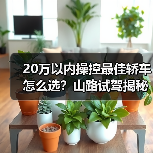 20万以内操控最好的轿车怎么挑?试驾路线决定成败!-金坦汽车资讯 20万以内操控最好的轿车怎么挑?试驾路线决定成败!-金坦汽车资讯