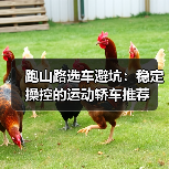 跑山路的运动轿车选错会翻车?这些关键指标必须懂-金坦汽车资讯 跑山路的运动轿车选错会翻车?这些关键指标必须懂-金坦汽车资讯