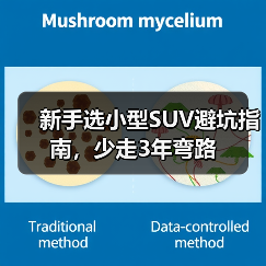 新手如何选小型SUV?避开这些坑才省心-金坦汽车资讯 新手如何选小型SUV?避开这些坑才省心-金坦汽车资讯