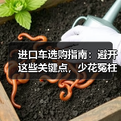 进口车选购指南：避开这些关键点，少花冤枉钱