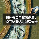 退休夫妻选自驾车?这4点决定旅行质量-金坦汽车资讯 退休夫妻选自驾车?这4点决定旅行质量-金坦汽车资讯