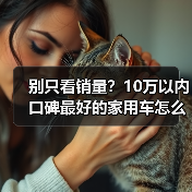别只看销量？10万以内口碑最好的家用车怎么选