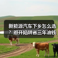新能源汽车下乡怎么选?避开陷阱省三年油钱 新能源汽车下乡怎么选?避开陷阱省三年油钱