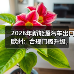 2026年新能源车欧洲出口，合规才是新门槛？-金坦汽车资讯