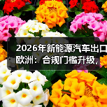 2026年新能源车欧洲出口，合规才是新门槛？-金坦汽车资讯