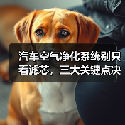 汽车空气净化系统别只看滤芯，三大关键点决定呼吸质量？