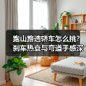 跑山路选轿车怎么挑？刹车热衰与弯道手感深度解析