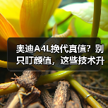 2026奥迪A4L换代值得等吗?现款抄底VS新平台优势对比-金坦汽车资讯 2026奥迪A4L换代值得等吗?现款抄底VS新平台优势对比-金坦汽车资讯