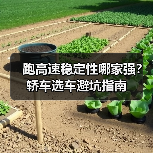 跑高速稳定性哪家强?轿车选车避坑指南 跑高速稳定性哪家强?轿车选车避坑指南