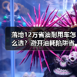 落地12万省油耐用车怎么选?避开油耗陷阱省钱攻略 落地12万省油耐用车怎么选?避开油耗陷阱省钱攻略