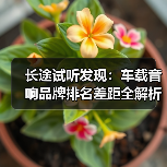 长途试听发现:车载音响品牌排名差距全解析 长途试听发现:车载音响品牌排名差距全解析